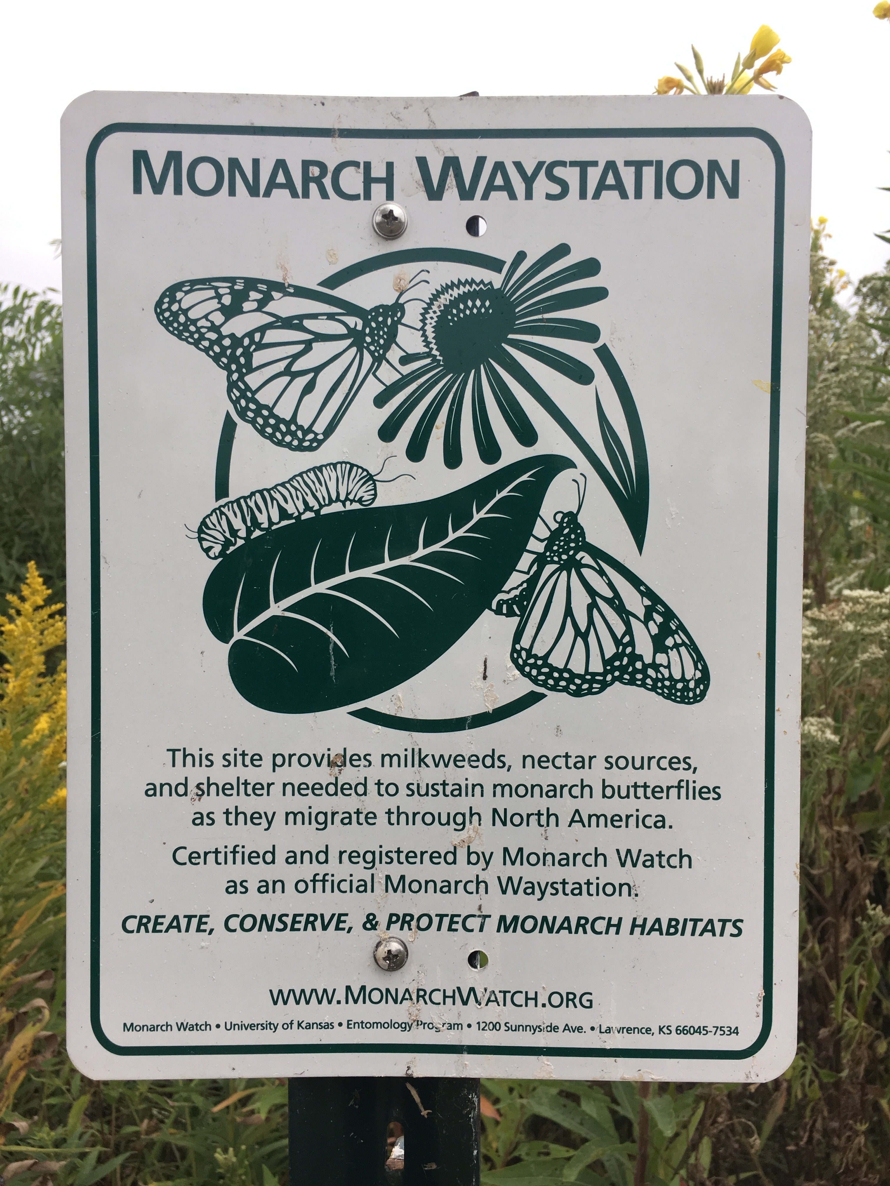 Picture of pollinator signs at wetlands